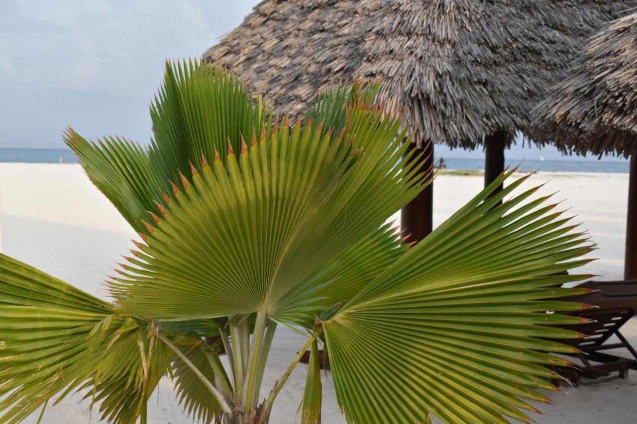 Kendwa Beach Resort Bagian luar foto