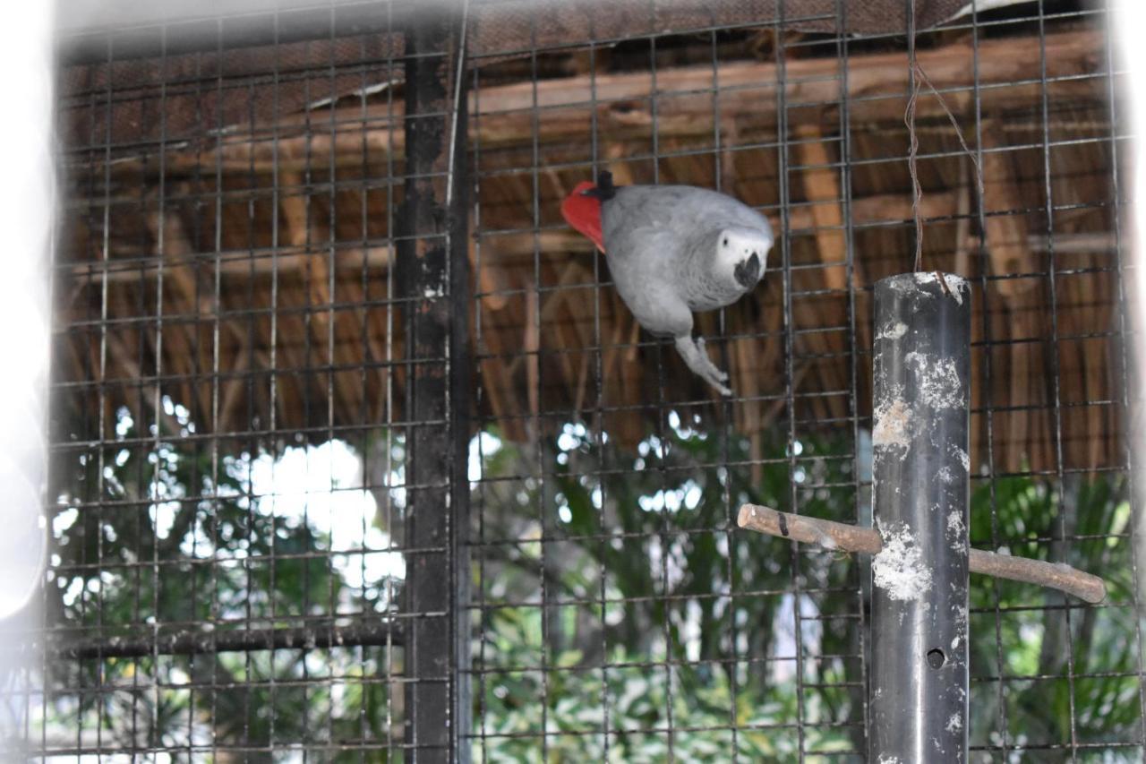 Kendwa Beach Resort Bagian luar foto