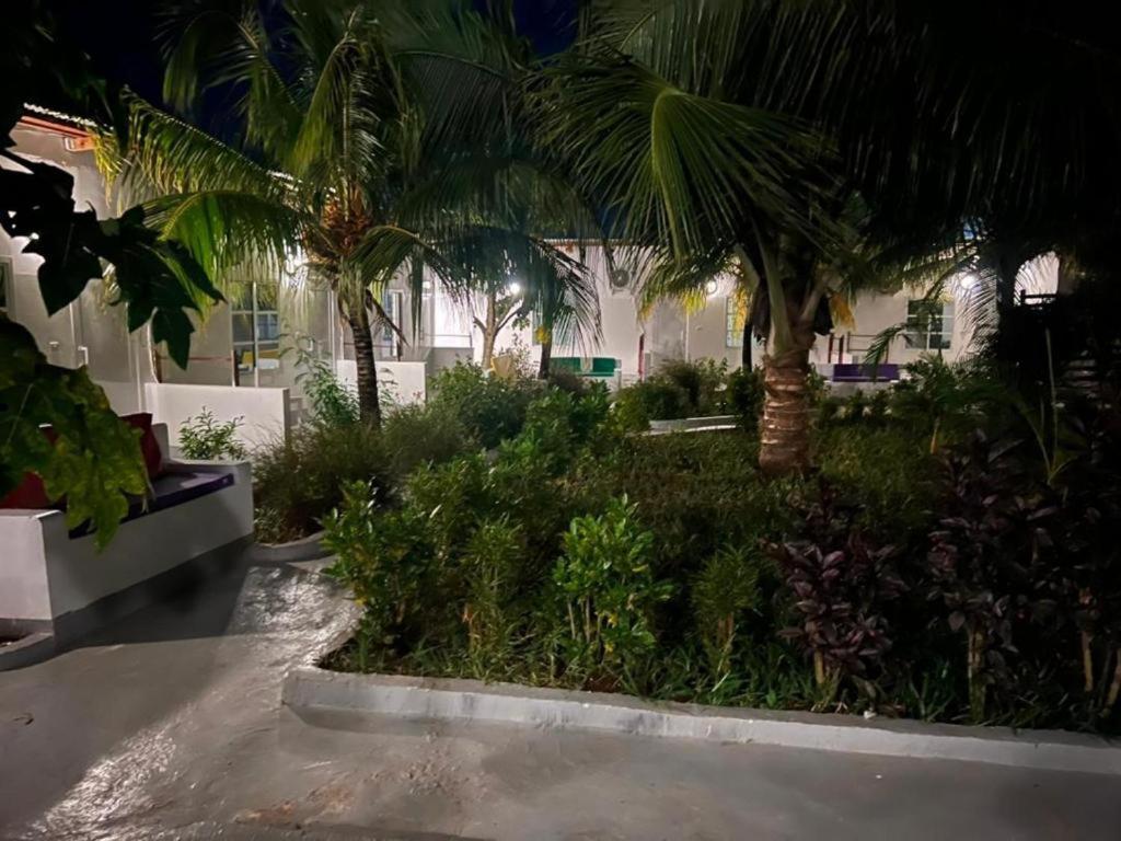 Kendwa Beach Resort Bagian luar foto