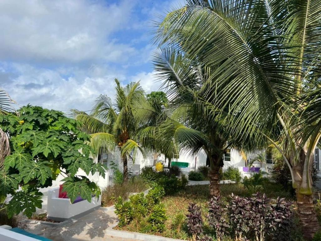 Kendwa Beach Resort Bagian luar foto